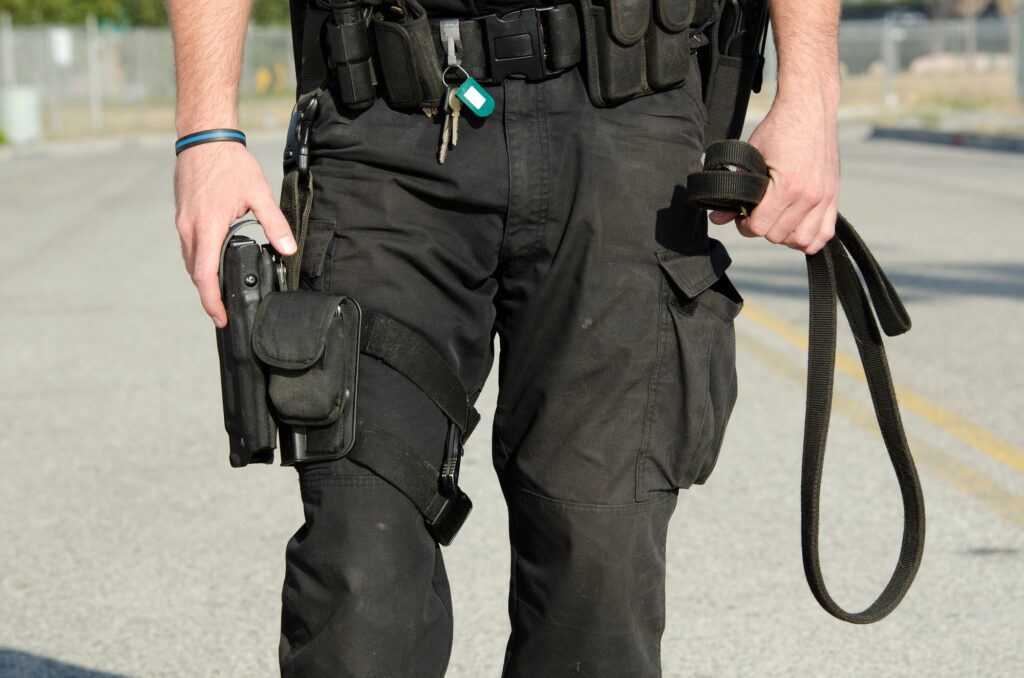 what is tactical security officer