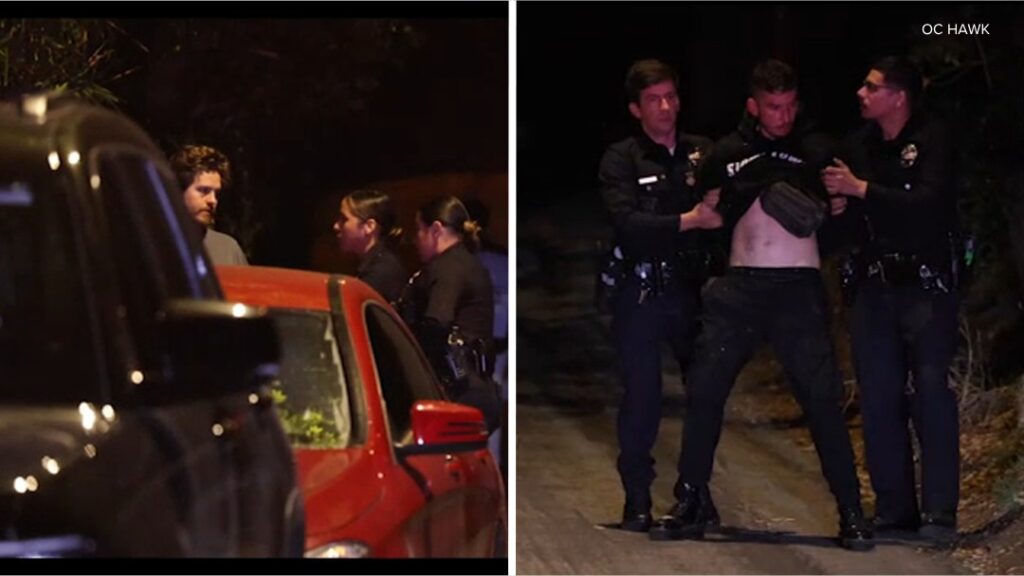 Actor Dylan Sprouse Restrains a Trespasser